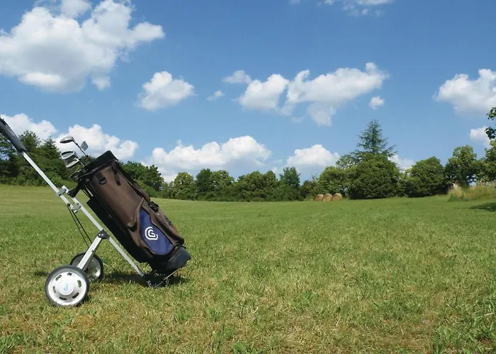 Pet Friendly In With Wifi * Belveze